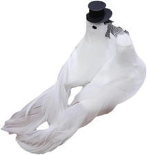 Colombe Matrimonio Bianchi,1