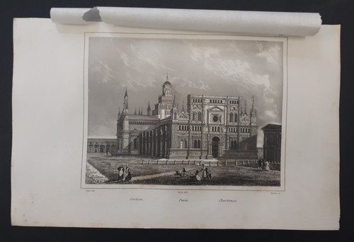Pavia certosa audot - certosa,