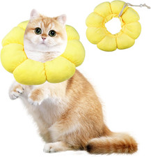 Collare Elisabettiano Cane