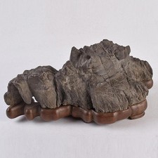 Suiseki Pietra da Vista Bonsai