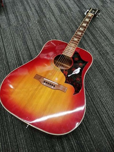 Acustica aria wh25 - acustica,