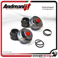Andreani Kit Pompanti