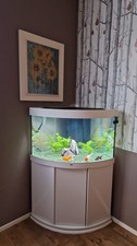 Acquario juwel trigon - acquario,