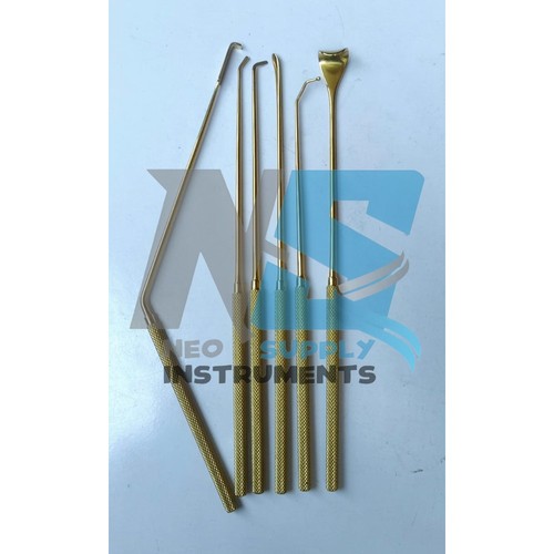 Nerve root penfield - nerve,