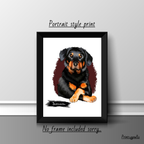 Beauceron cane animale - beauceron,