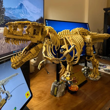 Nuovo dinosauro T-Rex fossili