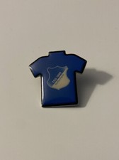 RARE HOFFENHEIM brooch -