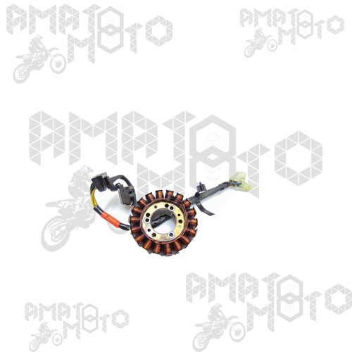 Statore magnete volano - statore,