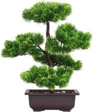 Bonsai Albero Finto