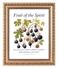 Fruit the spirit - fruit, of