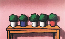 Tino STEFANONI:Serigrafia a