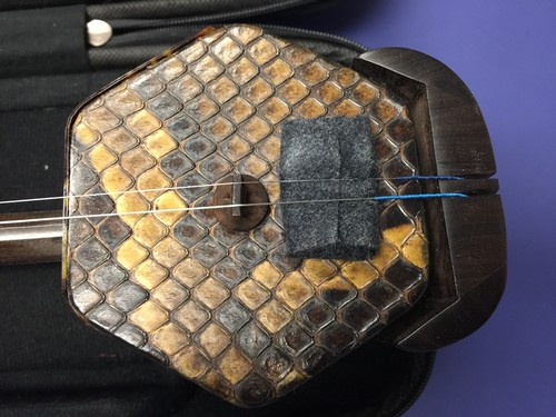 Erhu master made violino - made,
