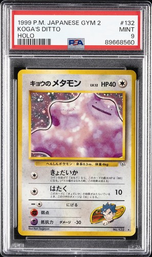 1999 pokemon palestra - pokemon,
