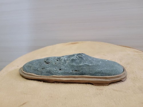 Bonsai suiseki bonseki - di,