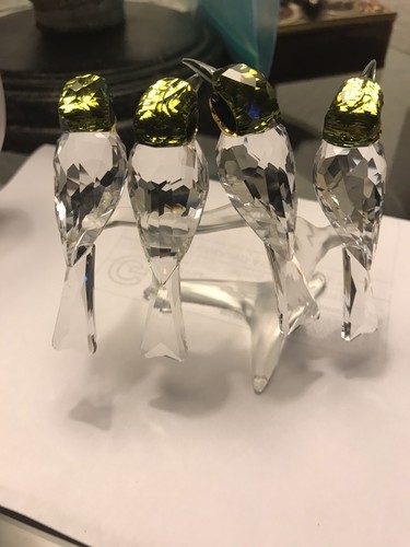 Swarovski cristallo piumatore - swarovski,