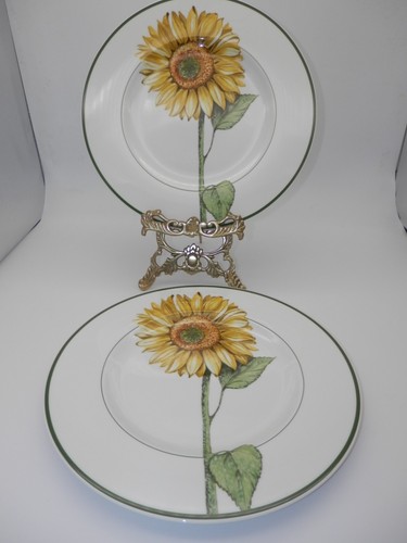 Piatti portata villeroy e - 2,