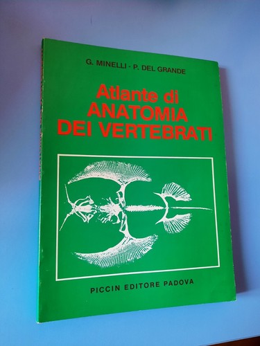 Minelli del grande - grande,