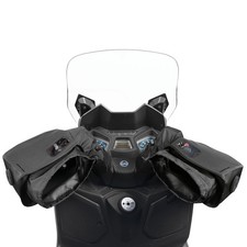 Coprimanopole Invernali