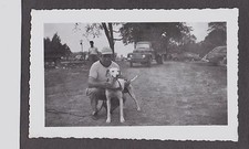 VINTAGE 1948 CANI DA CACCIA