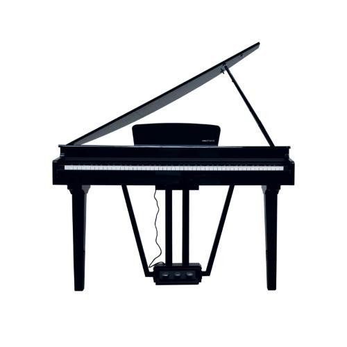 Echord gp10b pianoforte - echord,