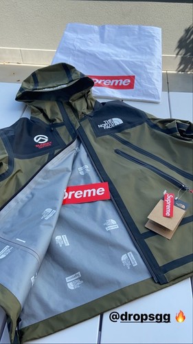 Supreme north face - supreme, summit