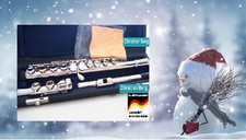 Professionale  flauto traverso