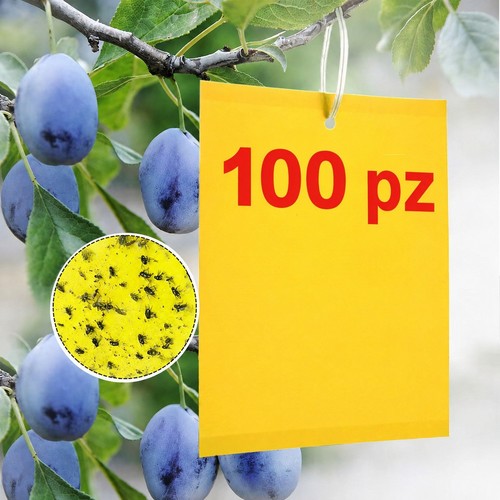 100 pezzi trappole appiccicose - 100,