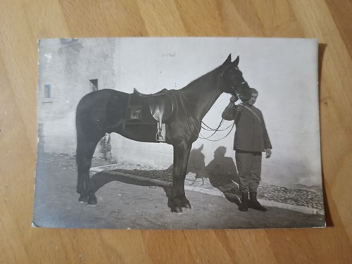 Cartolina postale scritta - postale,