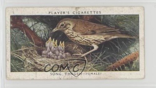 1937 player birds their - player's,