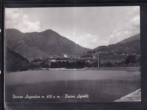 Cartolina perosa argentina - cartolina,