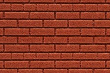 Chooch Enterprises 8625 Tutti