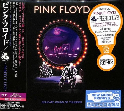 Pink floyd delicate sound of - sound,