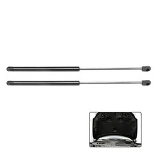 2pz Puntoni Supporto