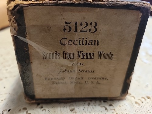 Giocatore ceciliano 5123 - giocatore,