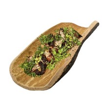 Sippa per maialetto - , arrosto