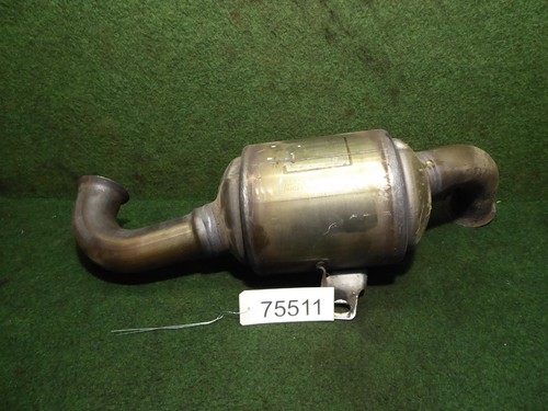 Catalizzatore citroen - catalizzatore,