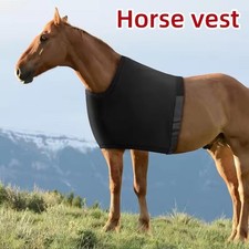 Spallaccio per cavallo
