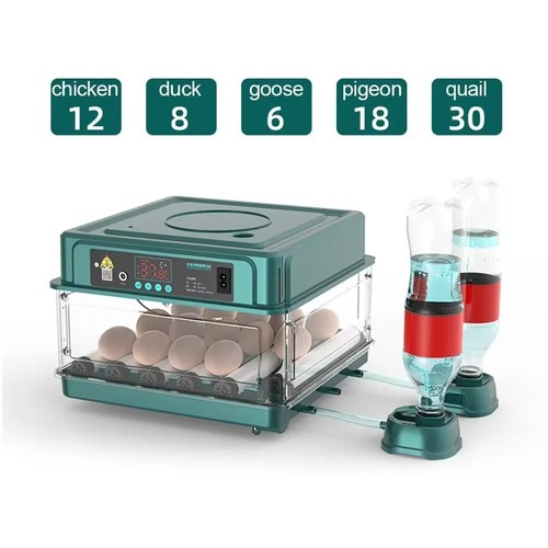 Incubatrice per uova - incubatrice,