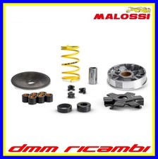 Variatore MALOSSI Multivar