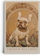 Bulldog francese - Elegante
