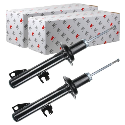 Ammortizzatore a gas - 2x,