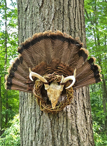 Ventaglio primitivo rustico