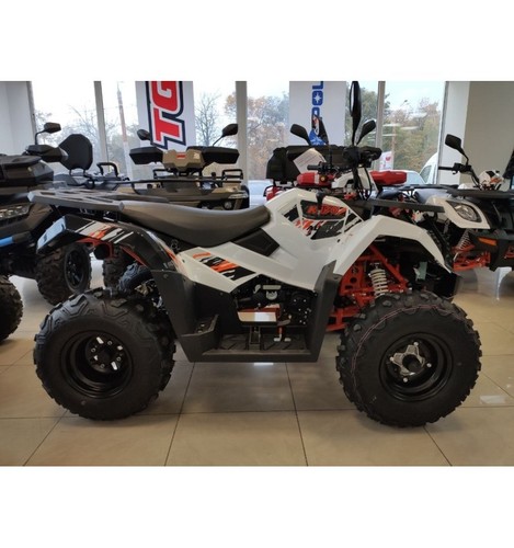 Quad kayo au300 omologato t3b - omologato,