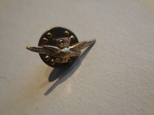 Distintivo per pilota - distintivo,