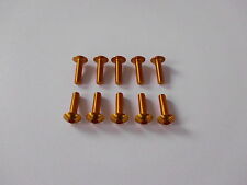 VITI IN ERGAL CARENA TESTA