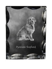 Cane da pastore dei Pirenei