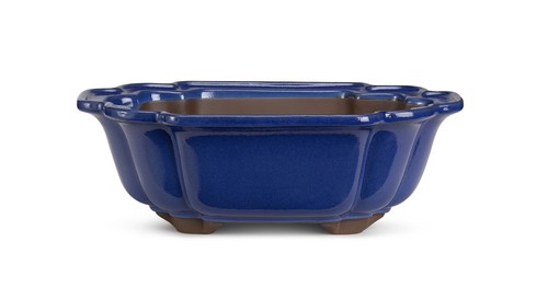 Certrè vaso per bonsai - certrè,