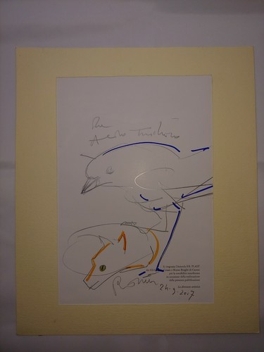 Turchiaro aldo disegno - aldo,