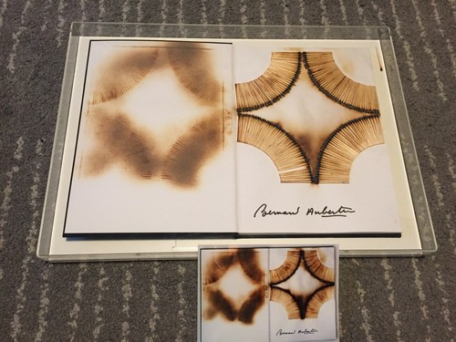 Bernard aubertin combustioni - aubertin,