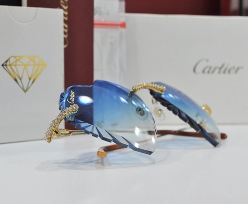 Occhiali sole cartier - sole,